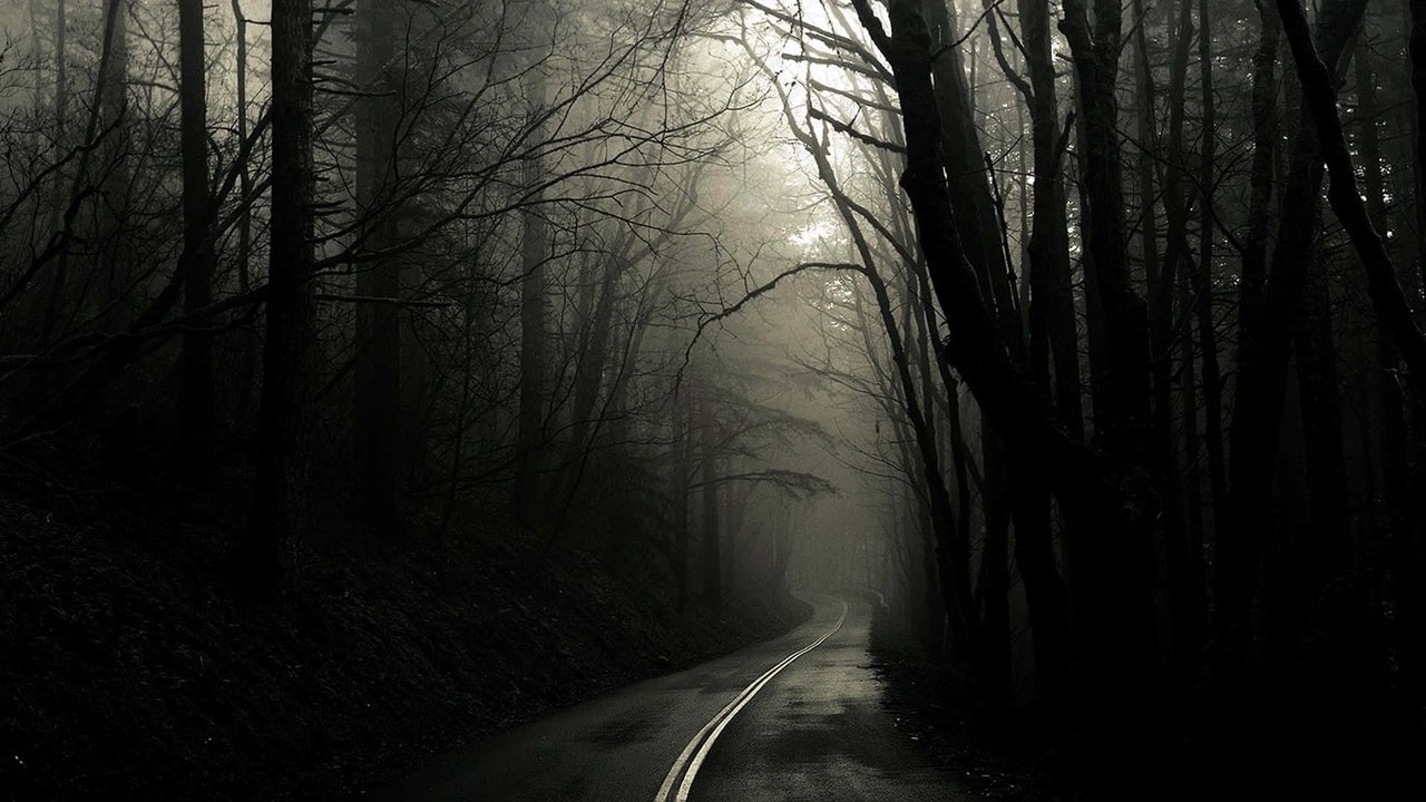 Backdrop image for movie Screamwalkers