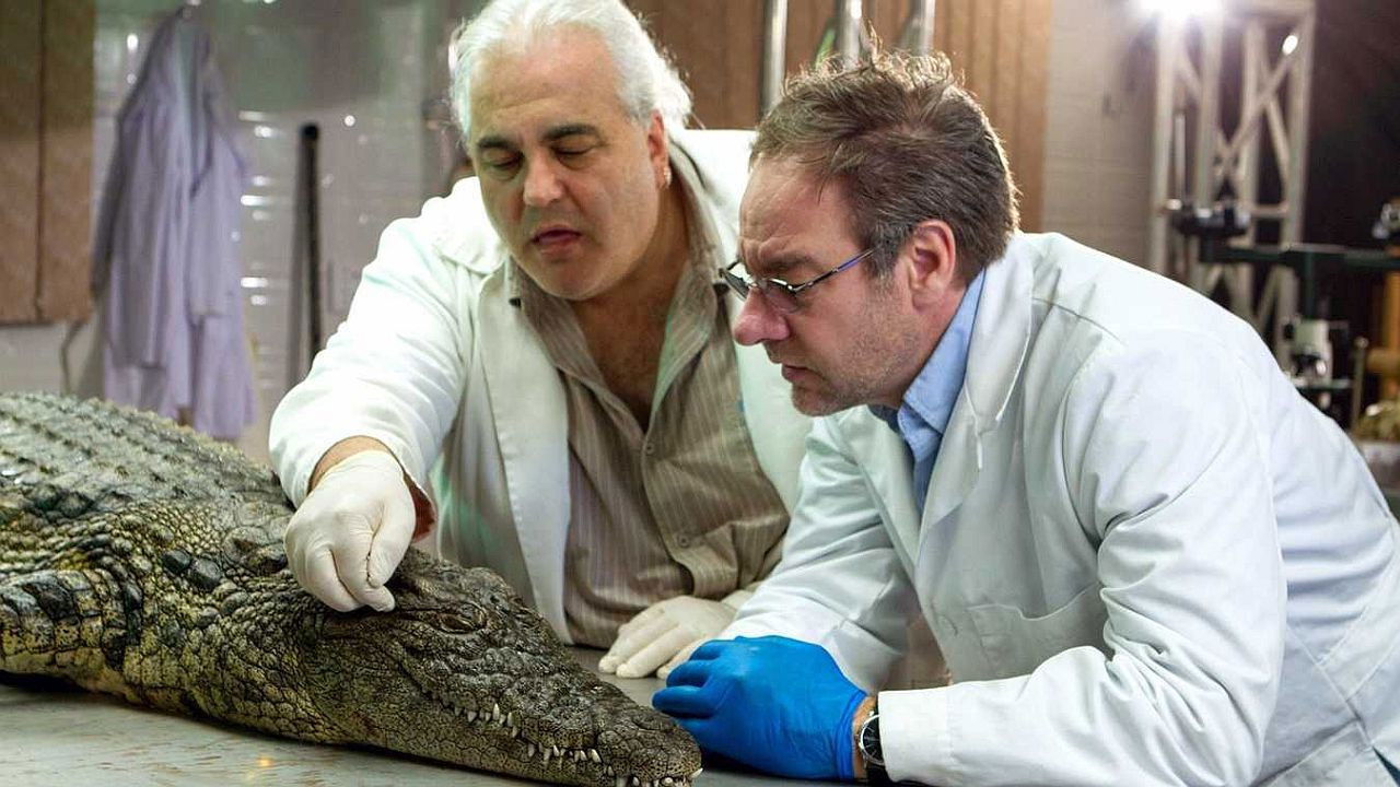 Backdrop image for movie Das Krokodil - Innenansichten eines Kraftpakets