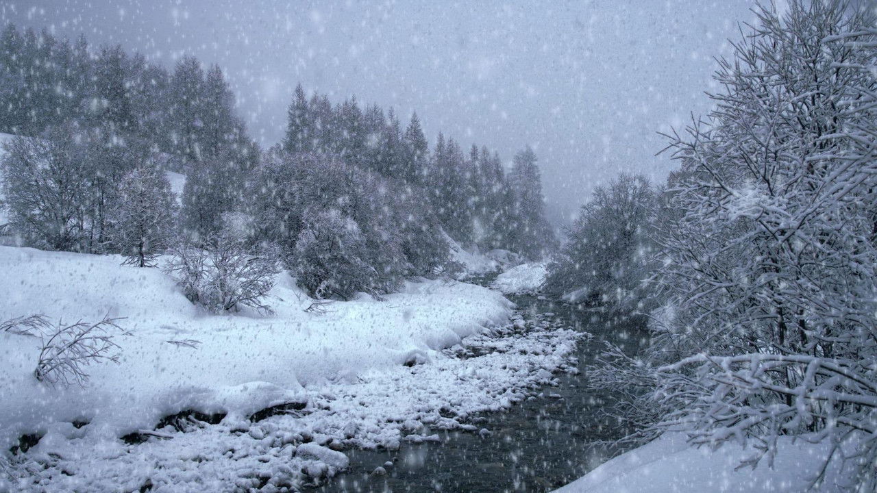 Backdrop image for movie The Search for Snow