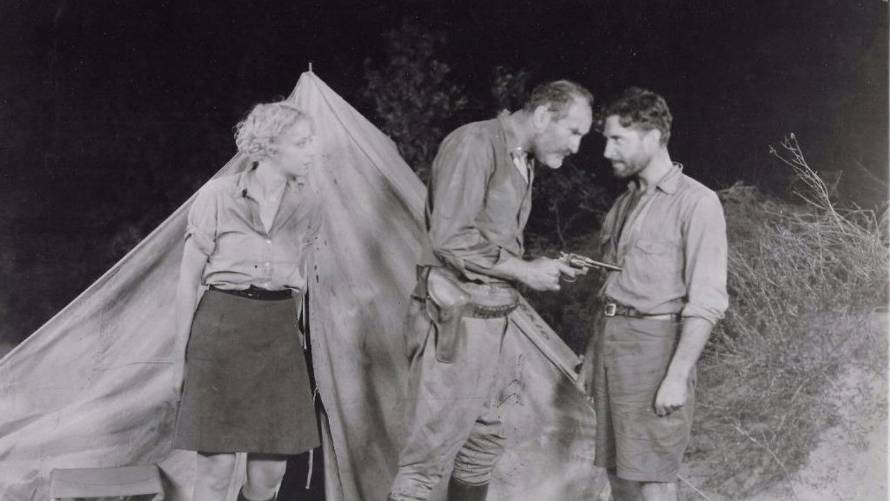 Backdrop image for movie Desert Nights