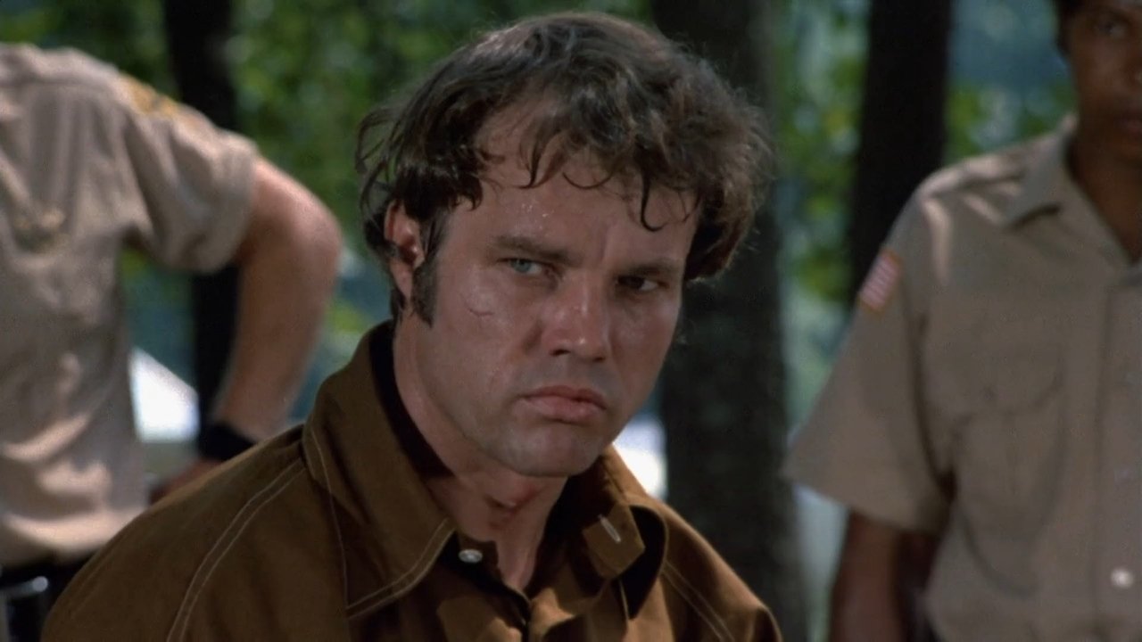Backdrop image for movie Walking Tall