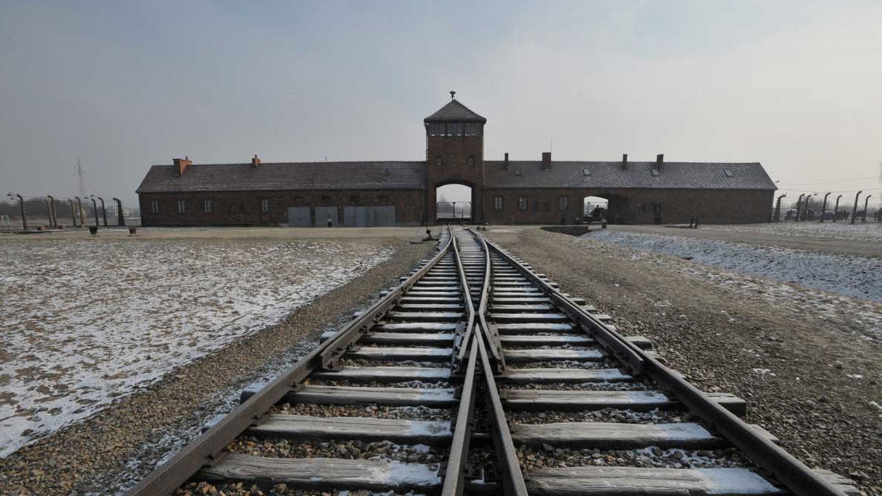 Backdrop image for movie Born in Auschwitz