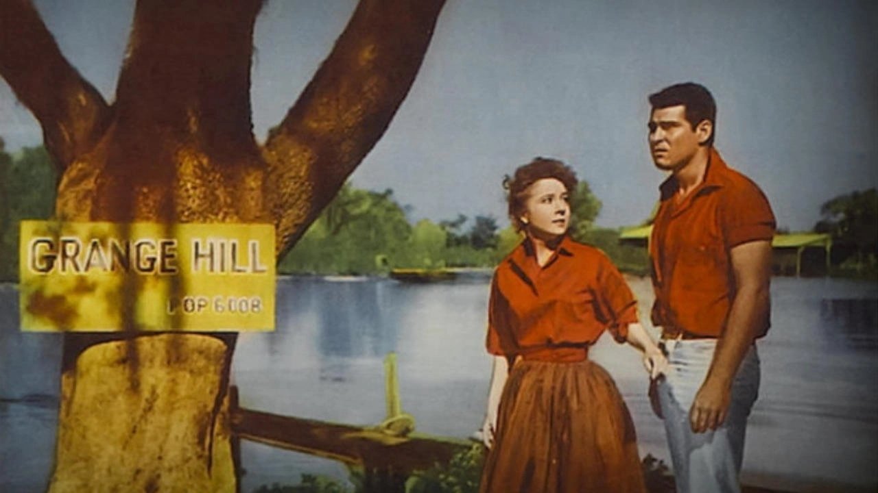Backdrop image for movie The Louisiana Hussy