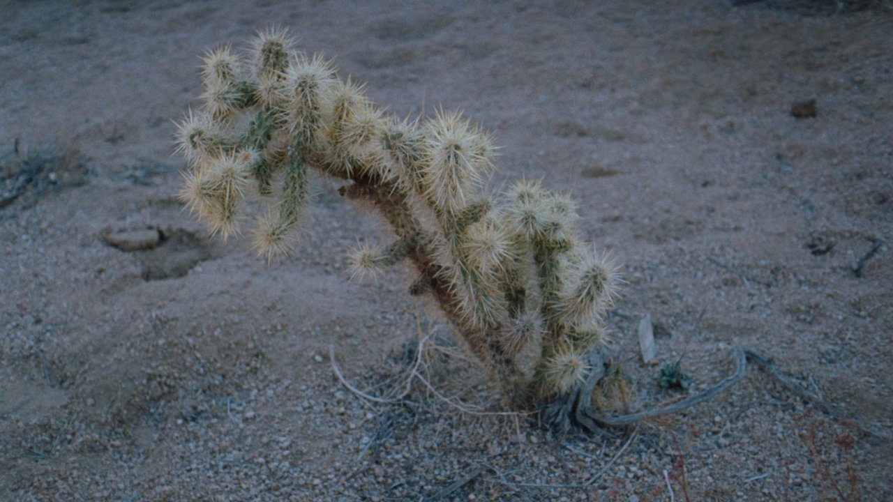 Backdrop image for movie Still from Afar