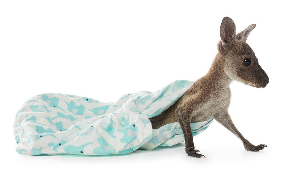 Backdrop image for movie Raising Joey