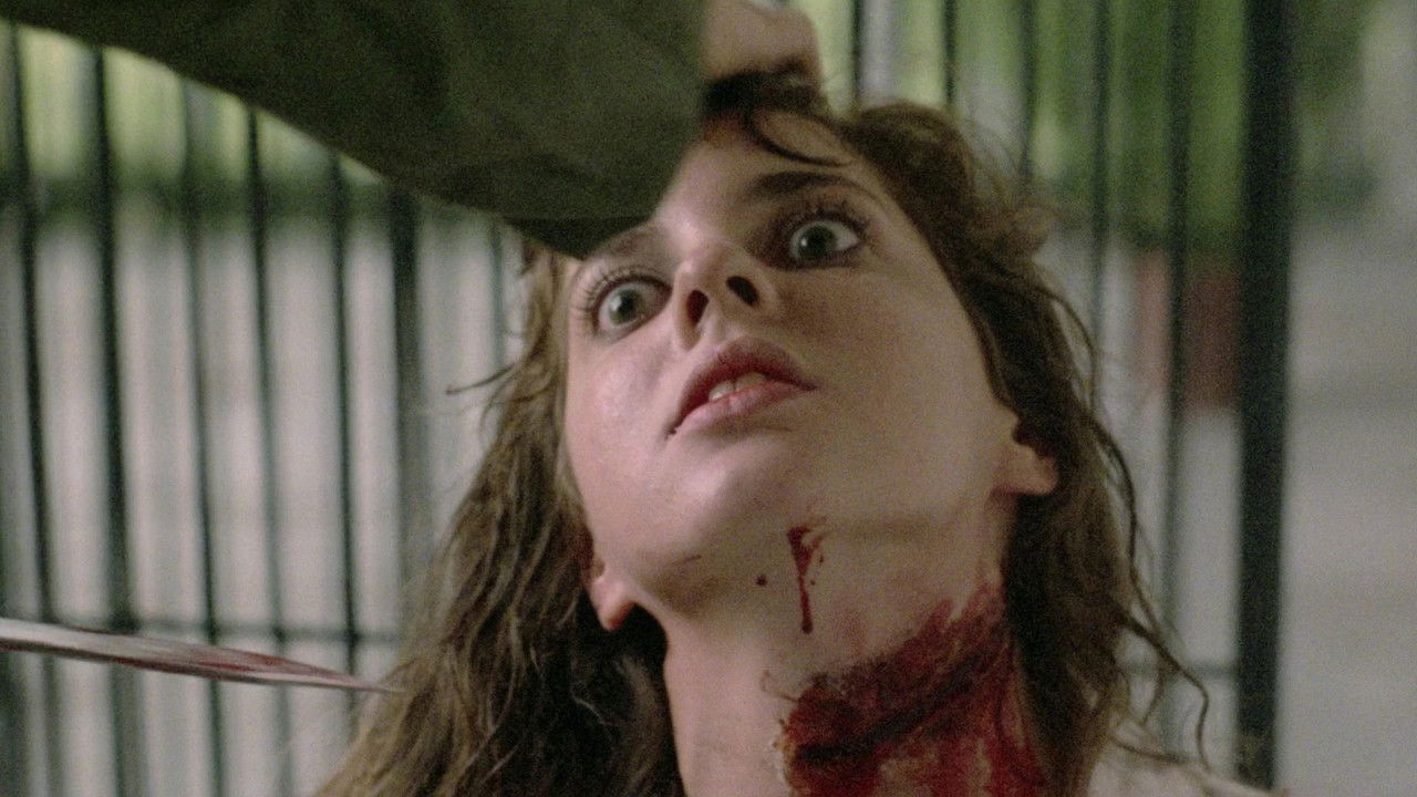 Backdrop image for movie Killing Birds