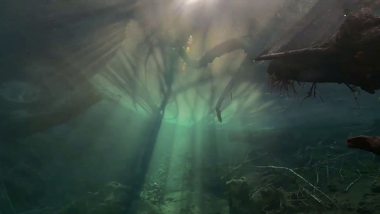 Backdrop image for movie Un fleuve invisible