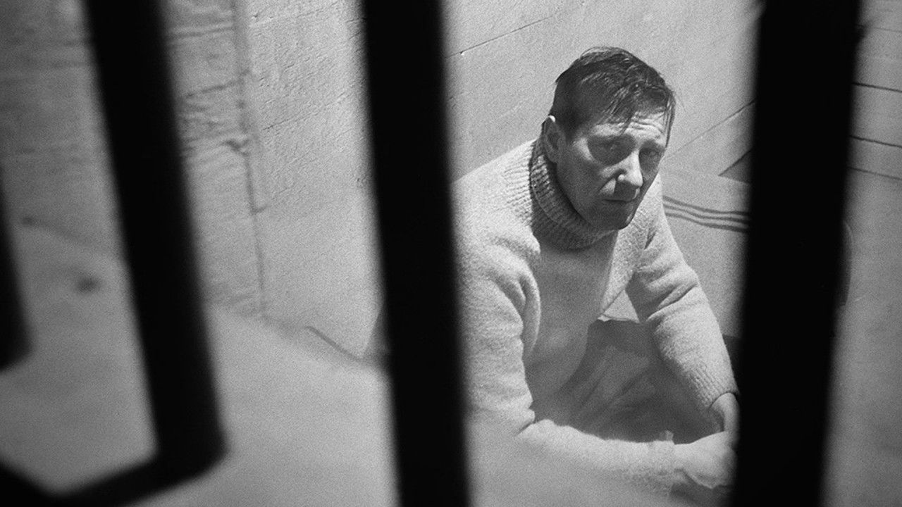 Backdrop image for movie Eight Deadly Shots