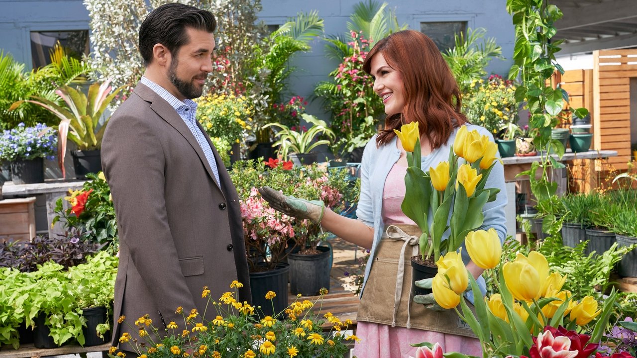 Backdrop image for movie True Love Blooms