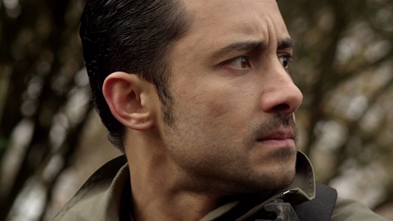 Backdrop image for movie Mercenaries