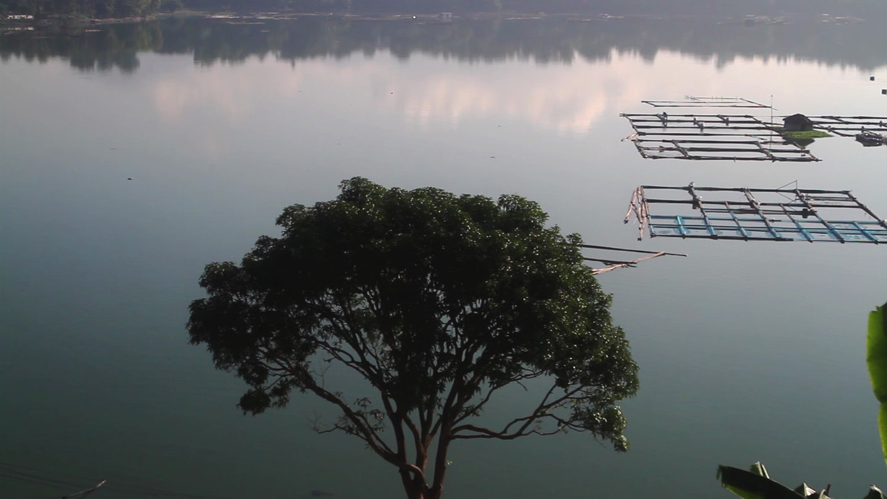 Backdrop image for movie Eldest Among the Seven