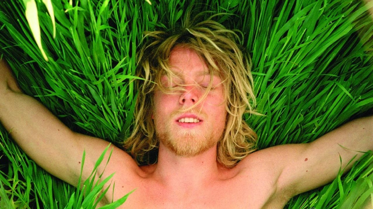 Backdrop image for movie Falkenberg Farewell