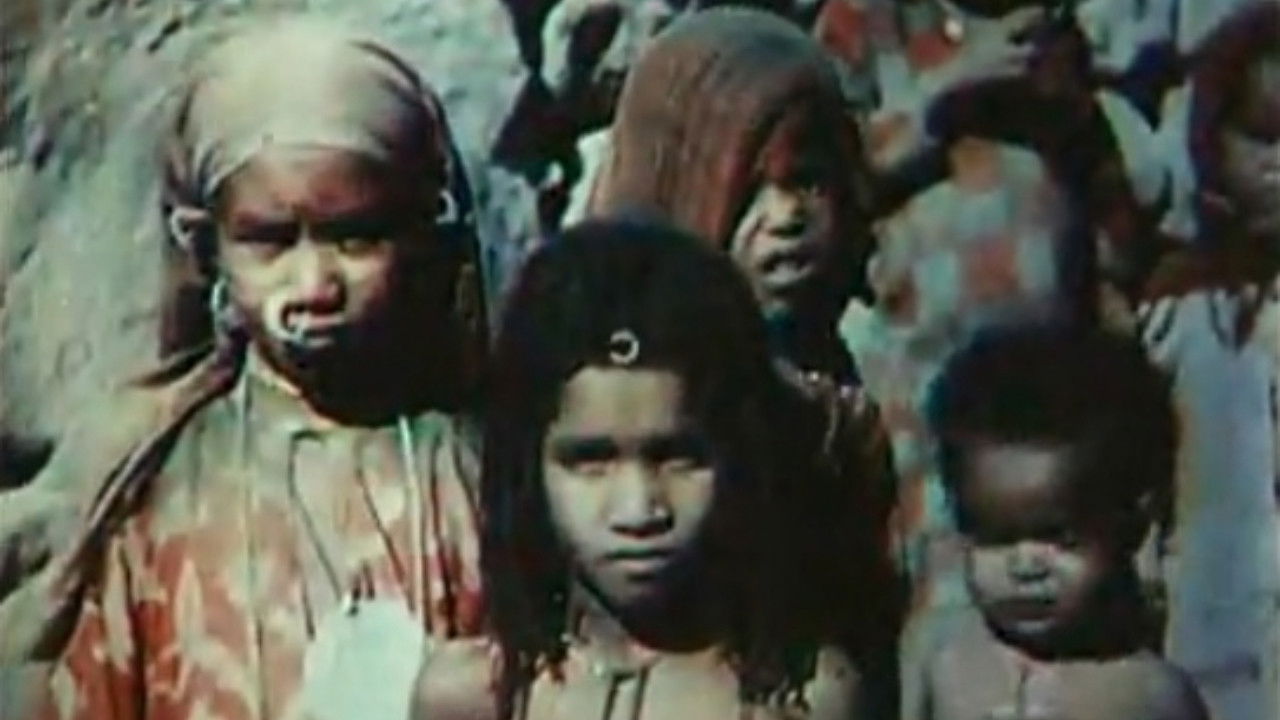 Backdrop image for movie Banks of the Nile