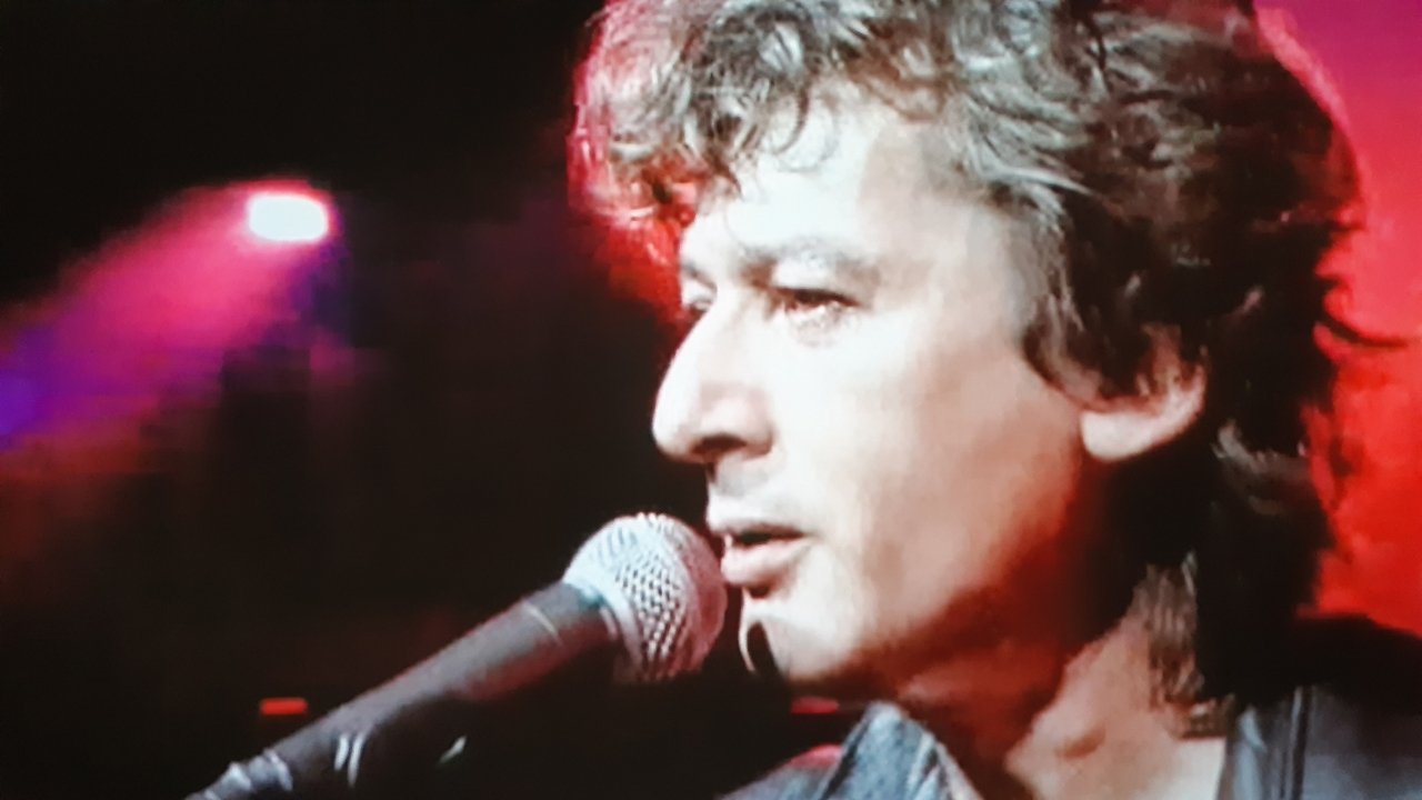 Backdrop image for movie Bashung, Alain - La tournée des grands espaces