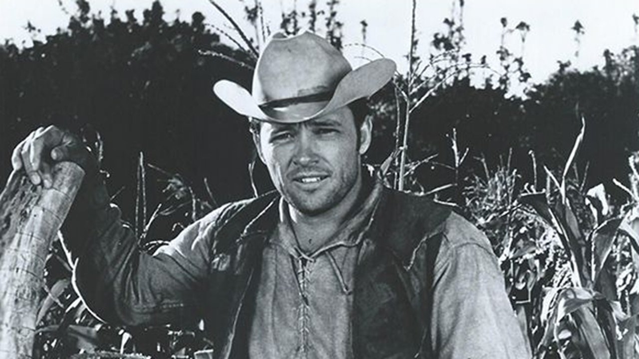 Backdrop image for movie Sancho, the Homing Steer