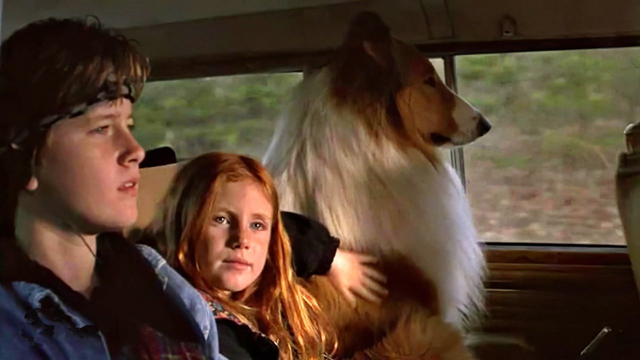 Backdrop image for movie Lassie