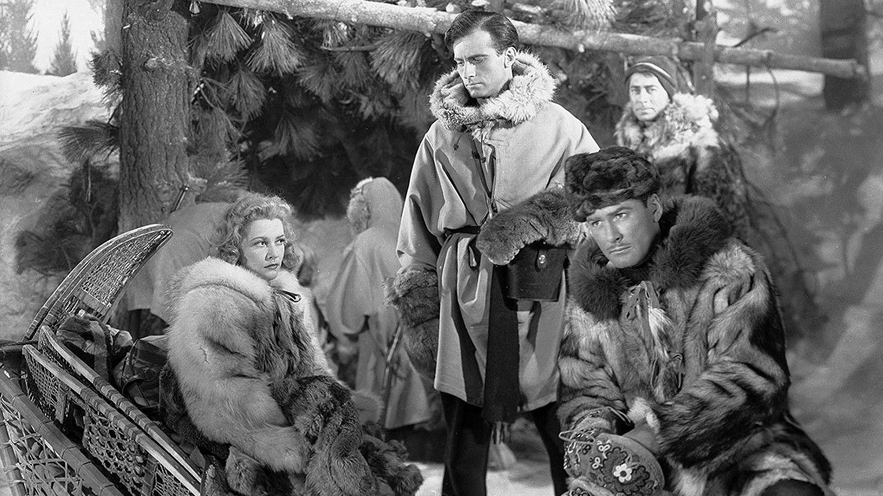 Backdrop image for movie Northern Pursuit