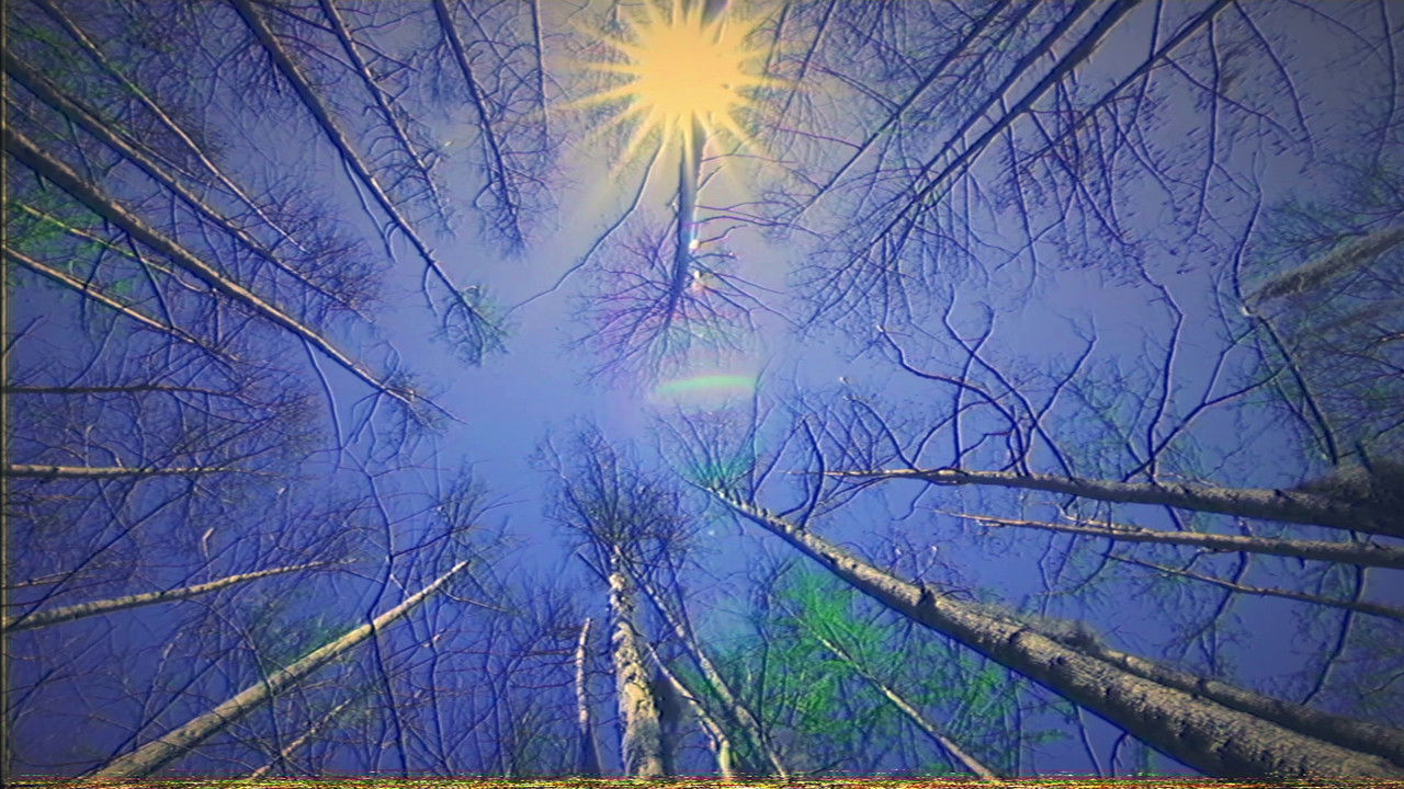 Backdrop image for movie Cologne: artificial (Labajura Remix)