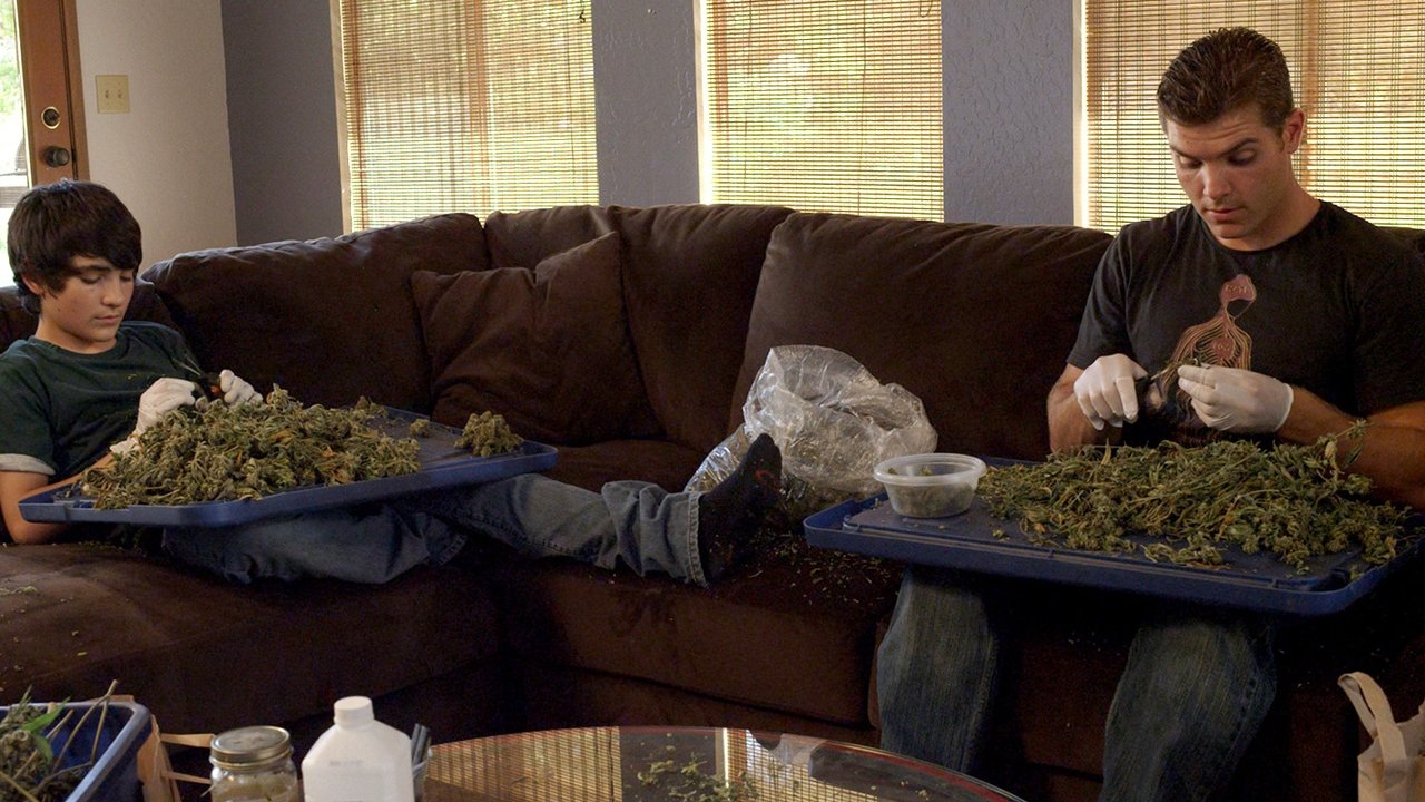 Backdrop image for movie Green Is Gold
