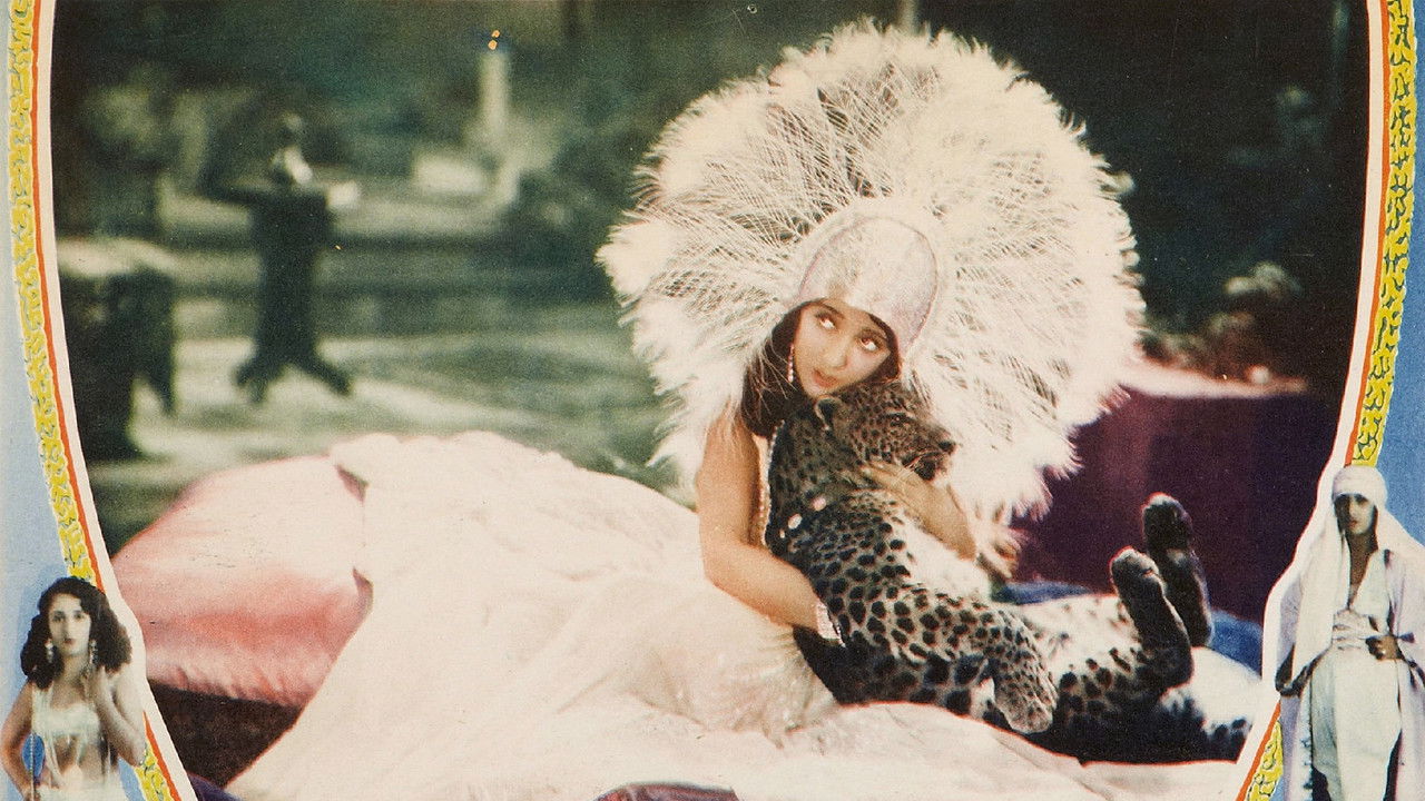 Backdrop image for movie She's a Sheik