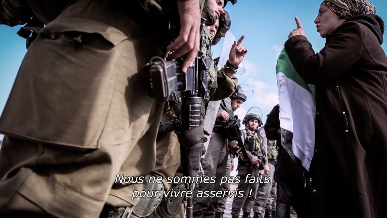 Backdrop image for movie Beyond the Frontlines: Resistance and Resilience in Palestine
