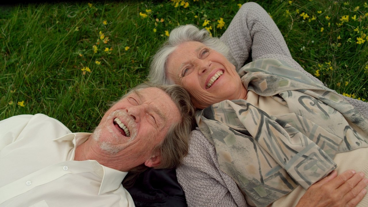 Backdrop image for movie Love at First Sight