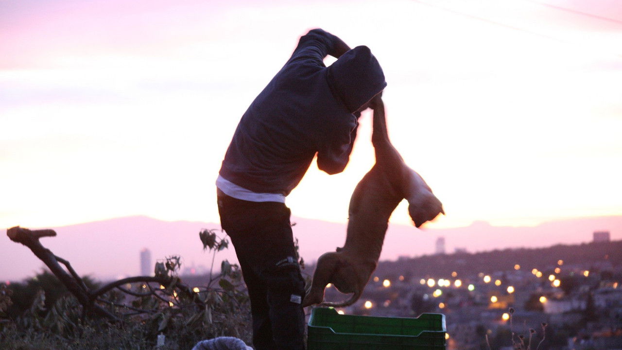 Backdrop image for movie The Beast Within