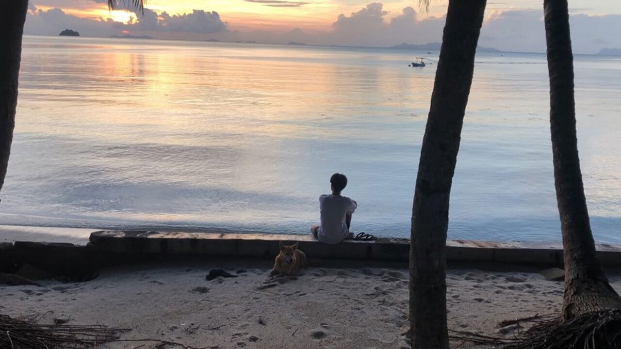 Backdrop image for movie After the Death