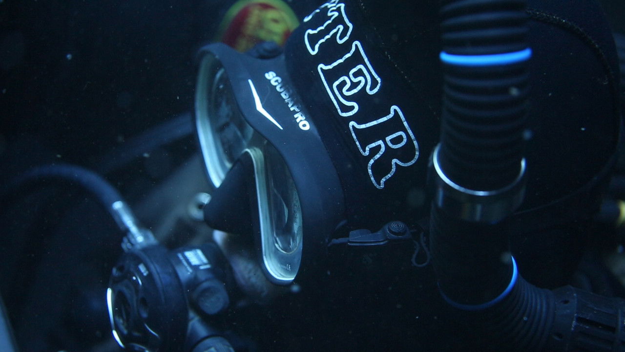 Backdrop image for movie Dave Not Coming Back