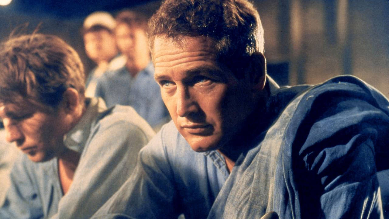 Backdrop image for movie Paul Newman: The Restless