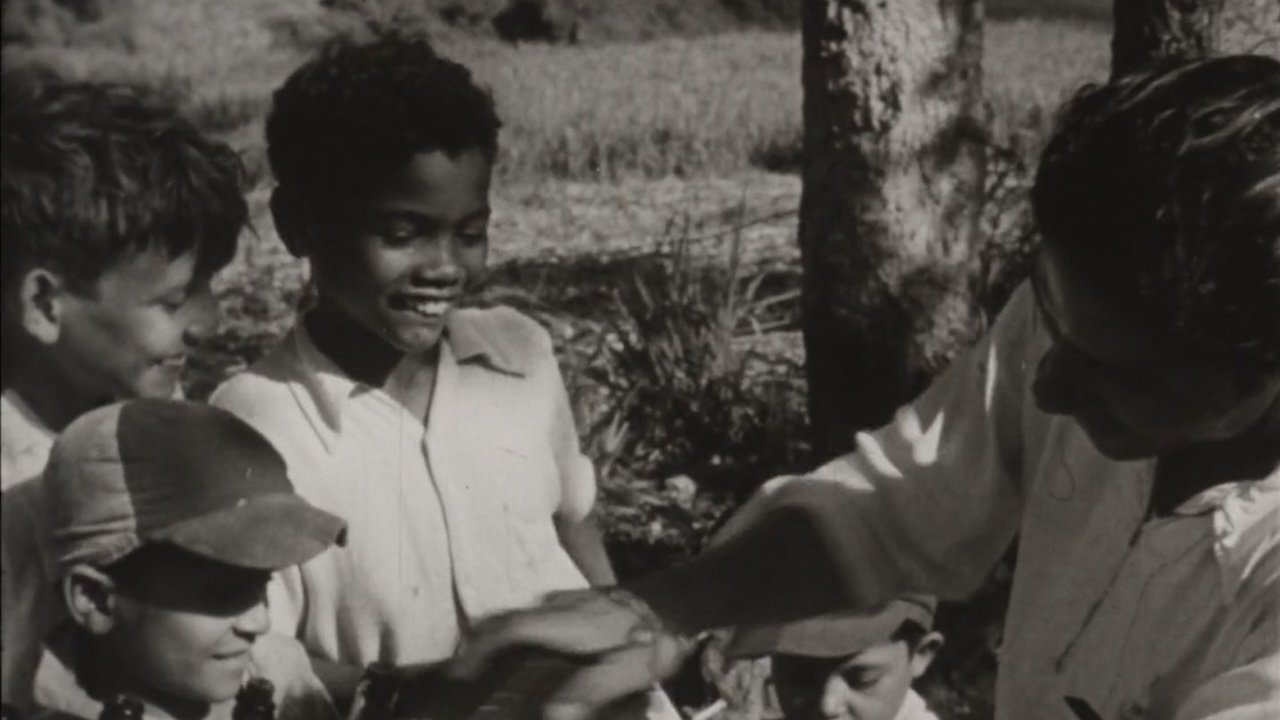 Backdrop image for movie Roots of Happiness