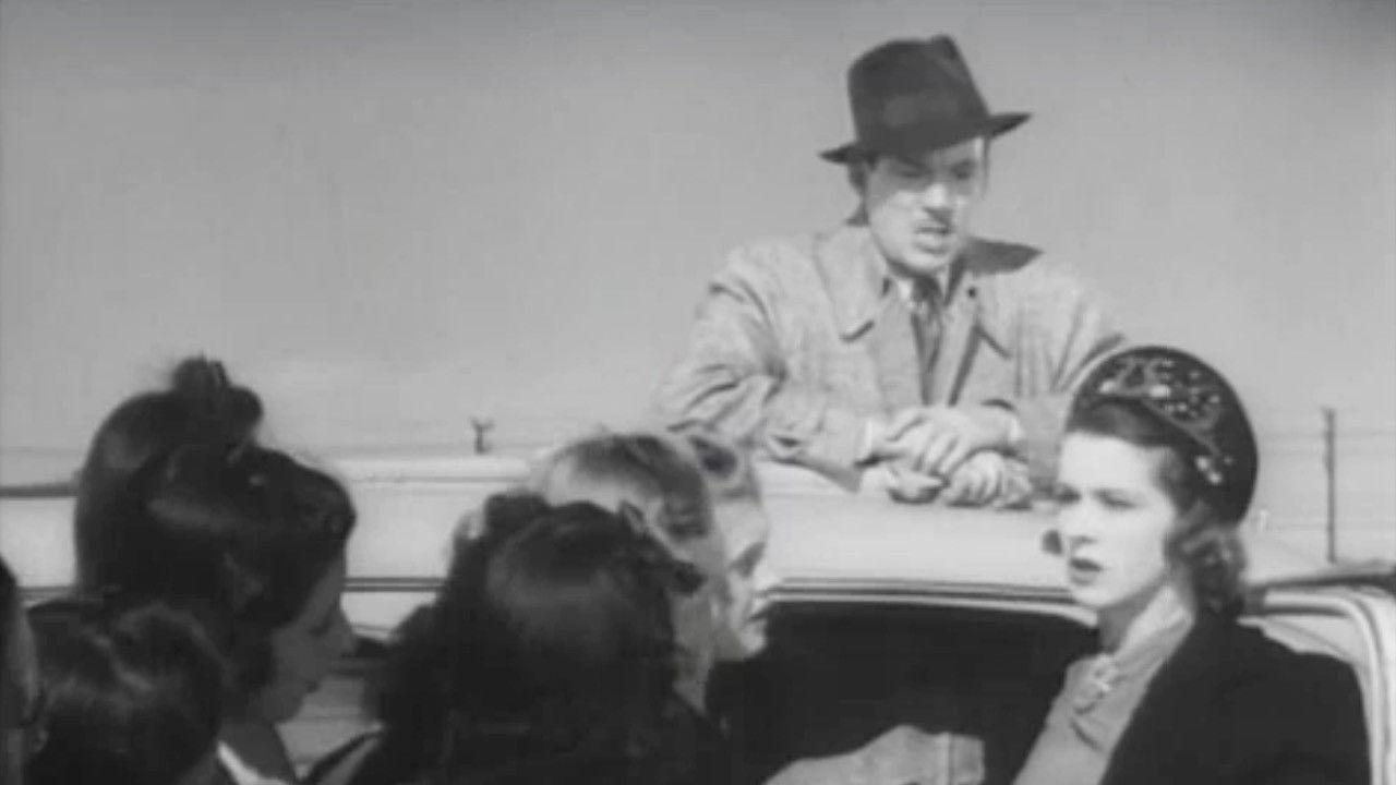 Backdrop image for movie Love on Tap