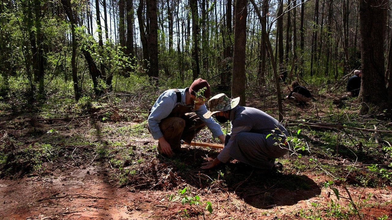 Backdrop image for movie Atlanta Forest Garden: Four Days of Work