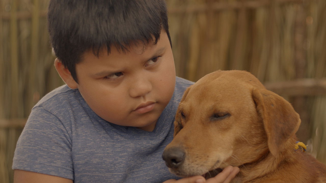 Backdrop image for movie Xibalba Monster