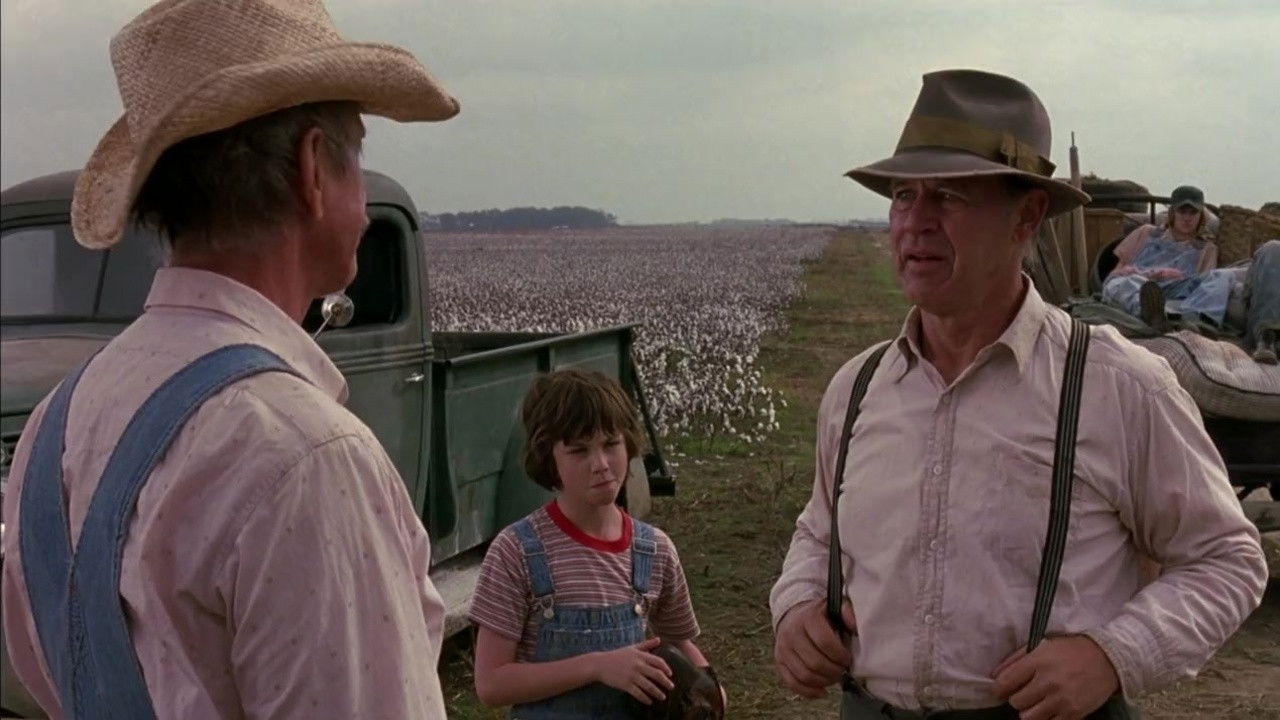 Backdrop image for movie A Painted House