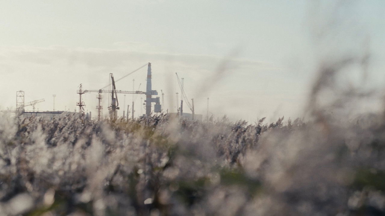 Backdrop image for movie MOOR CITY HARBOUR