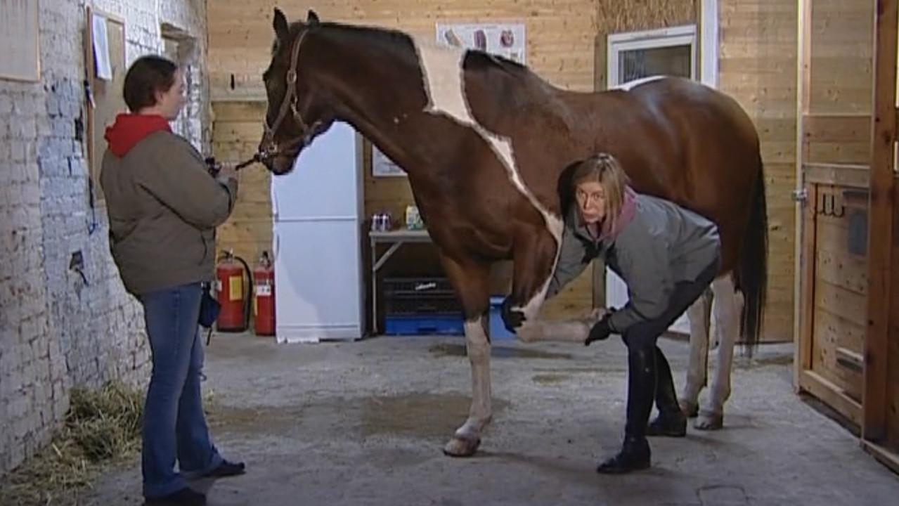 Backdrop image for movie Rörelse utan Gränser