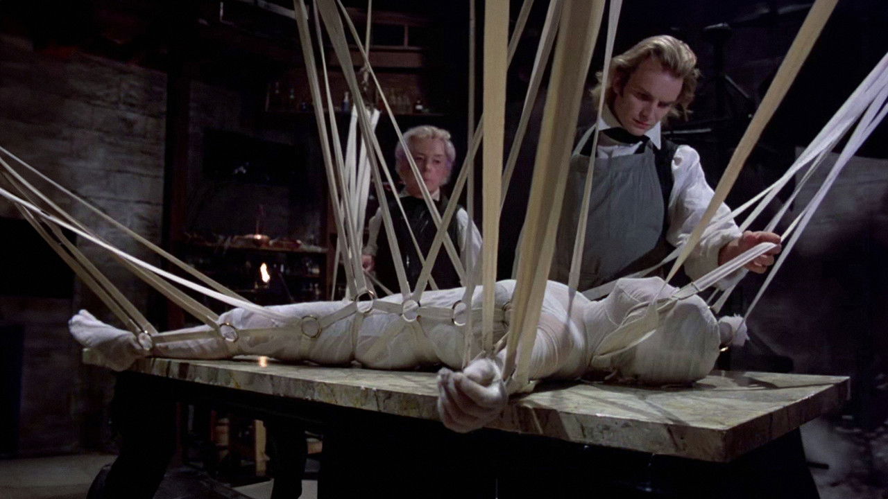 Backdrop image for movie The Bride