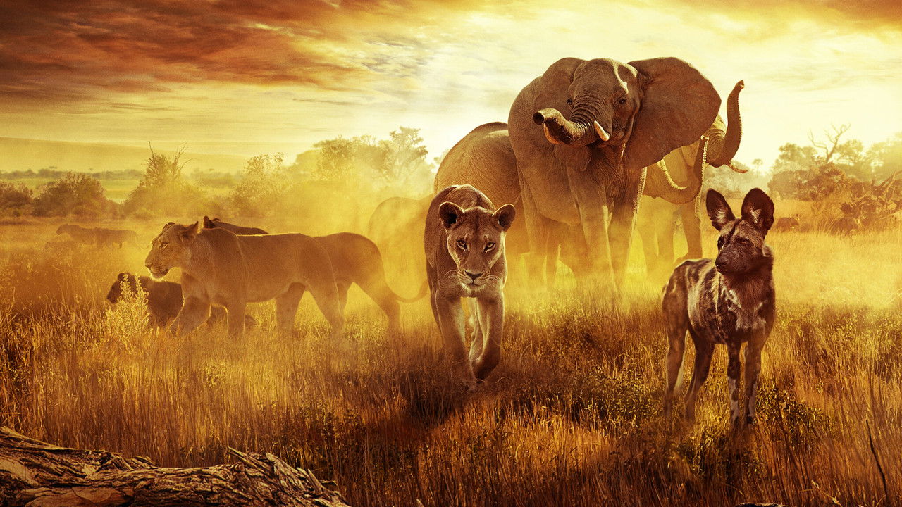 Backdrop image for movie Surviving Paradise: A Family Tale