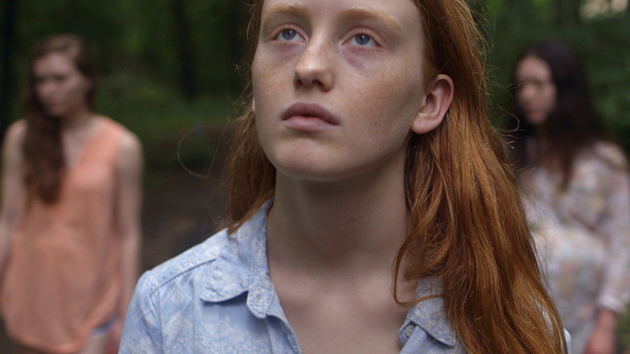 Backdrop image for movie Uncertain Terms