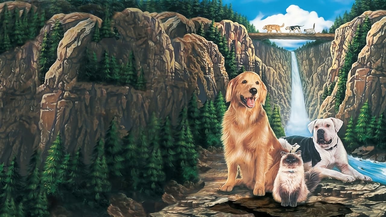 Backdrop image for movie Homeward Bound: The Incredible Journey