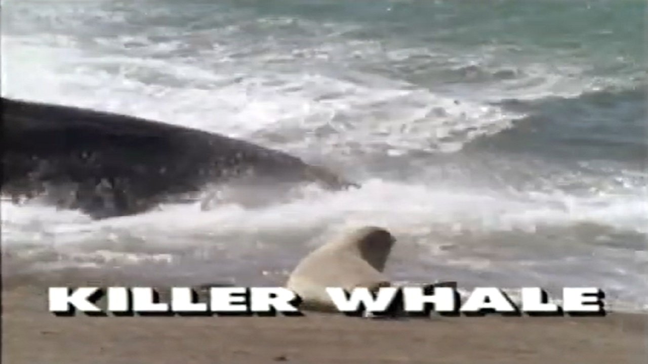 Backdrop image for movie Predators of the Wild: Killer Whale
