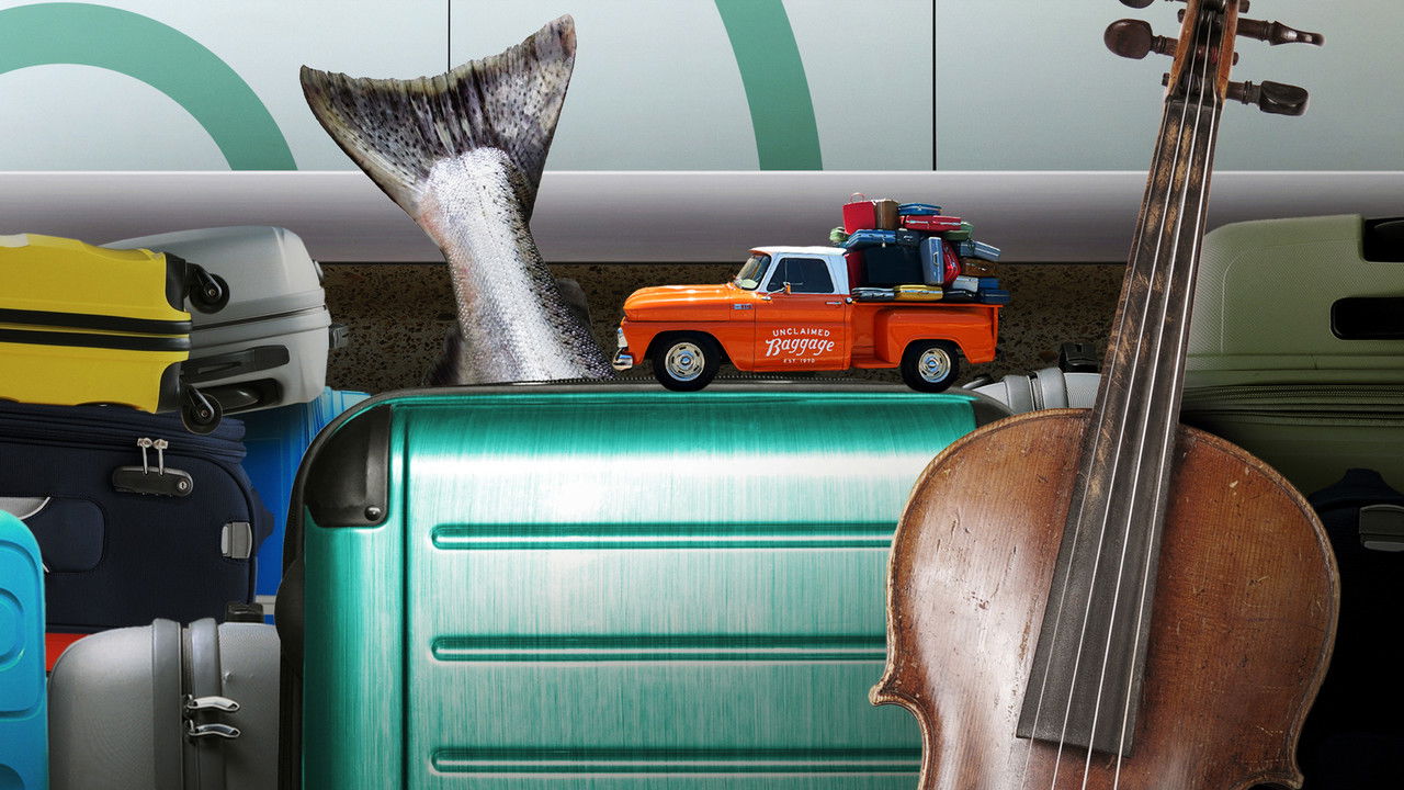 Backdrop image for movie Inside Airport Lost & Found