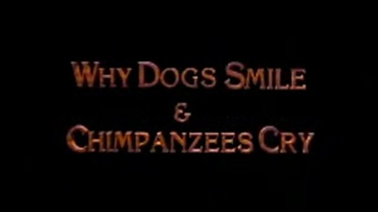 Backdrop image for movie Why Dogs Smile and Chimpanzees Cry