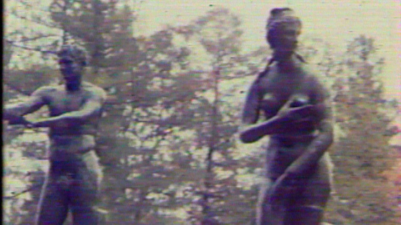 Backdrop image for movie Metamorphosis