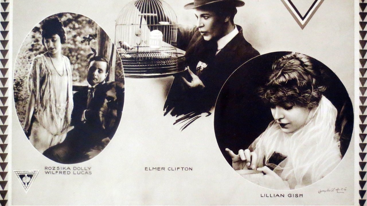 Backdrop image for movie The Lily and the Rose