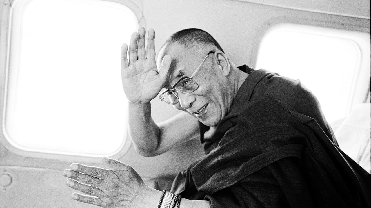 Backdrop image for movie Wisdom of Happiness