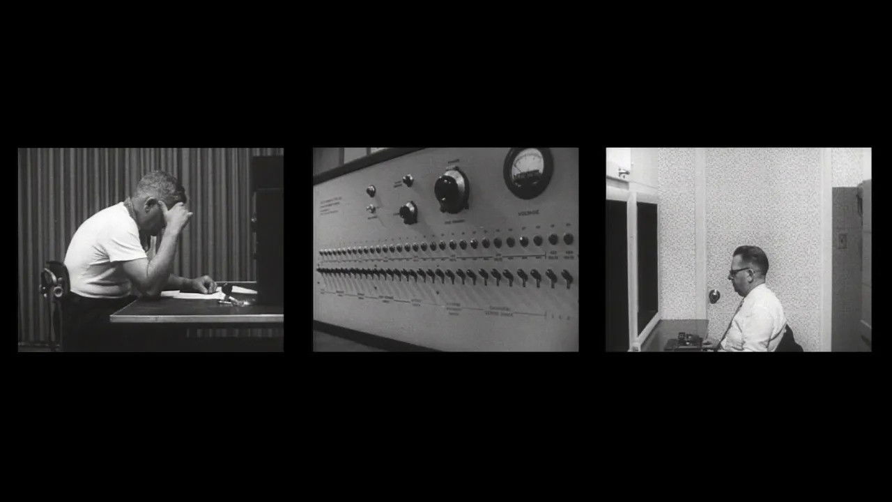 Backdrop image for movie Obedience