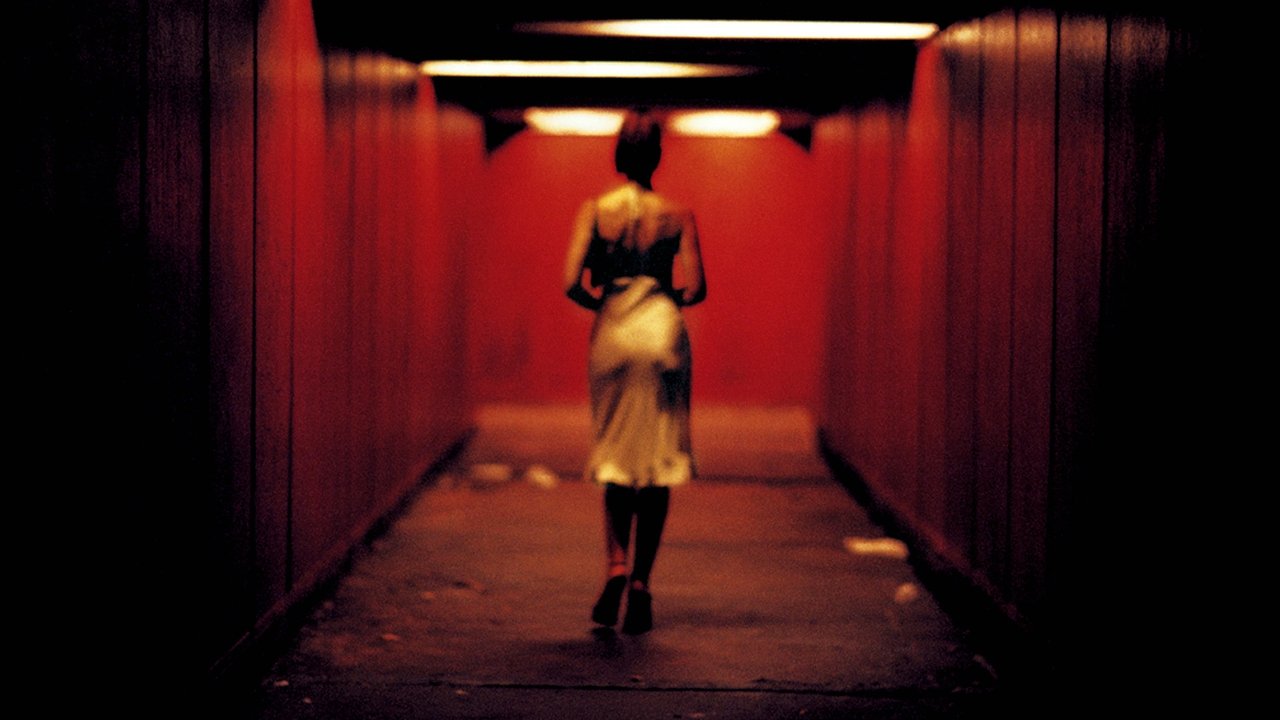 Backdrop image for movie Irreversible