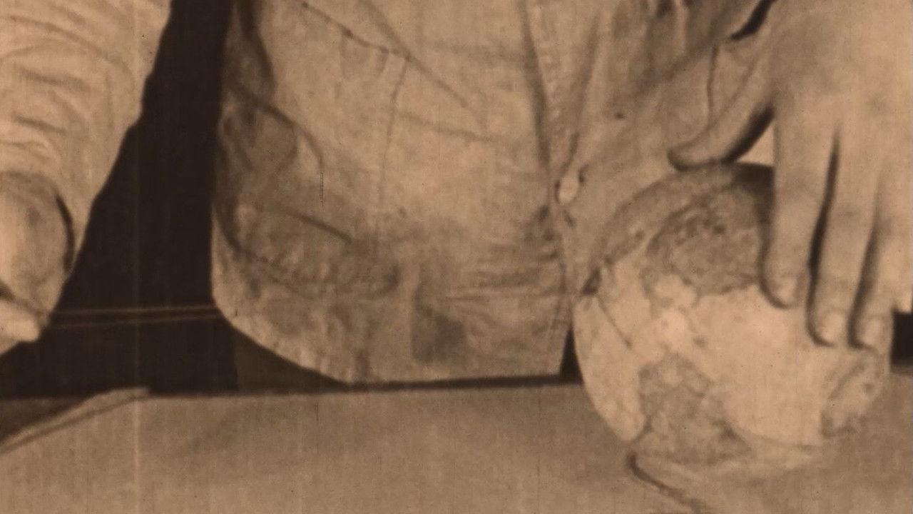 Backdrop image for movie All Aboard for the Moon